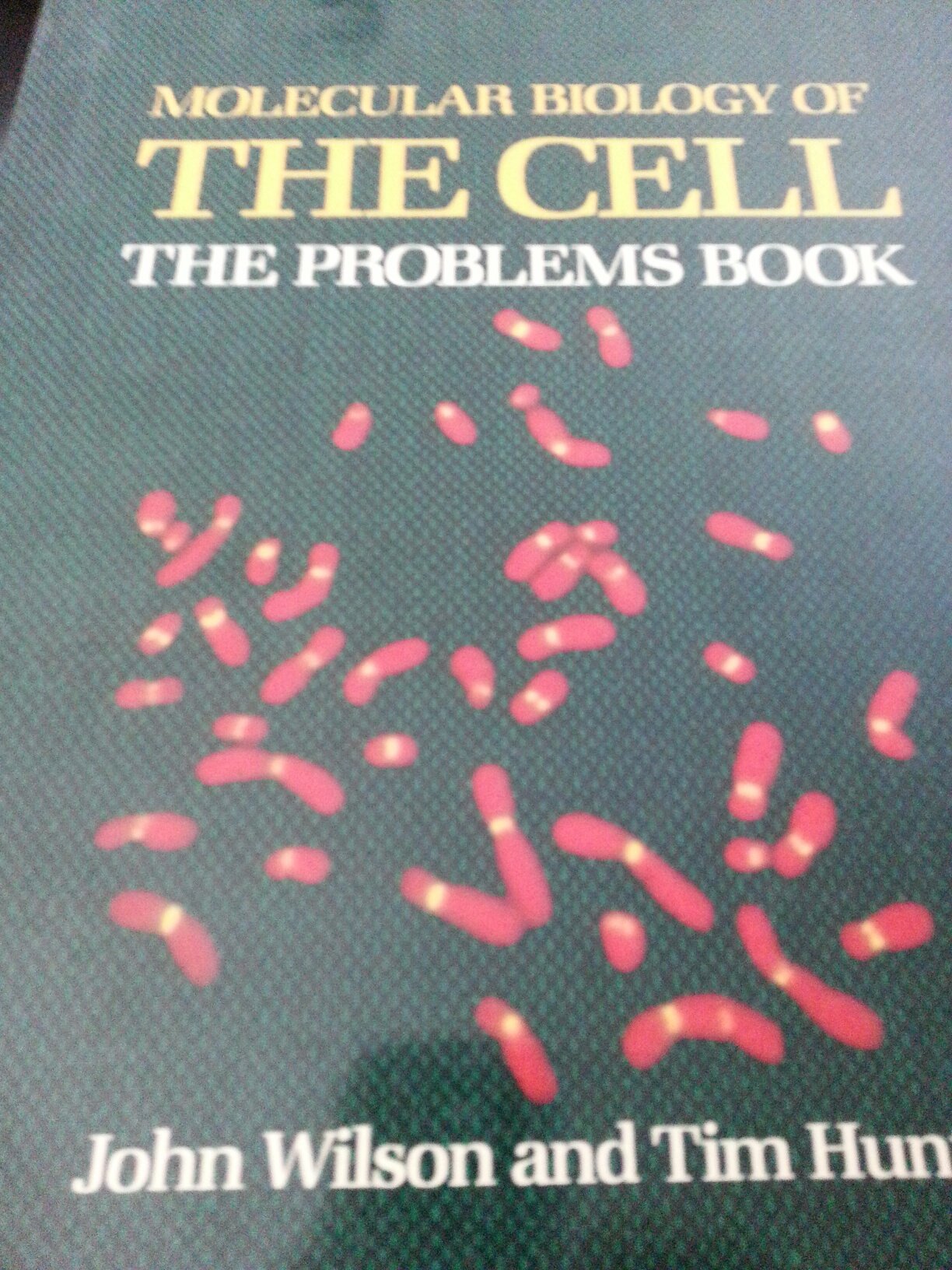 Molec Biol Cell Problem Book,Used
