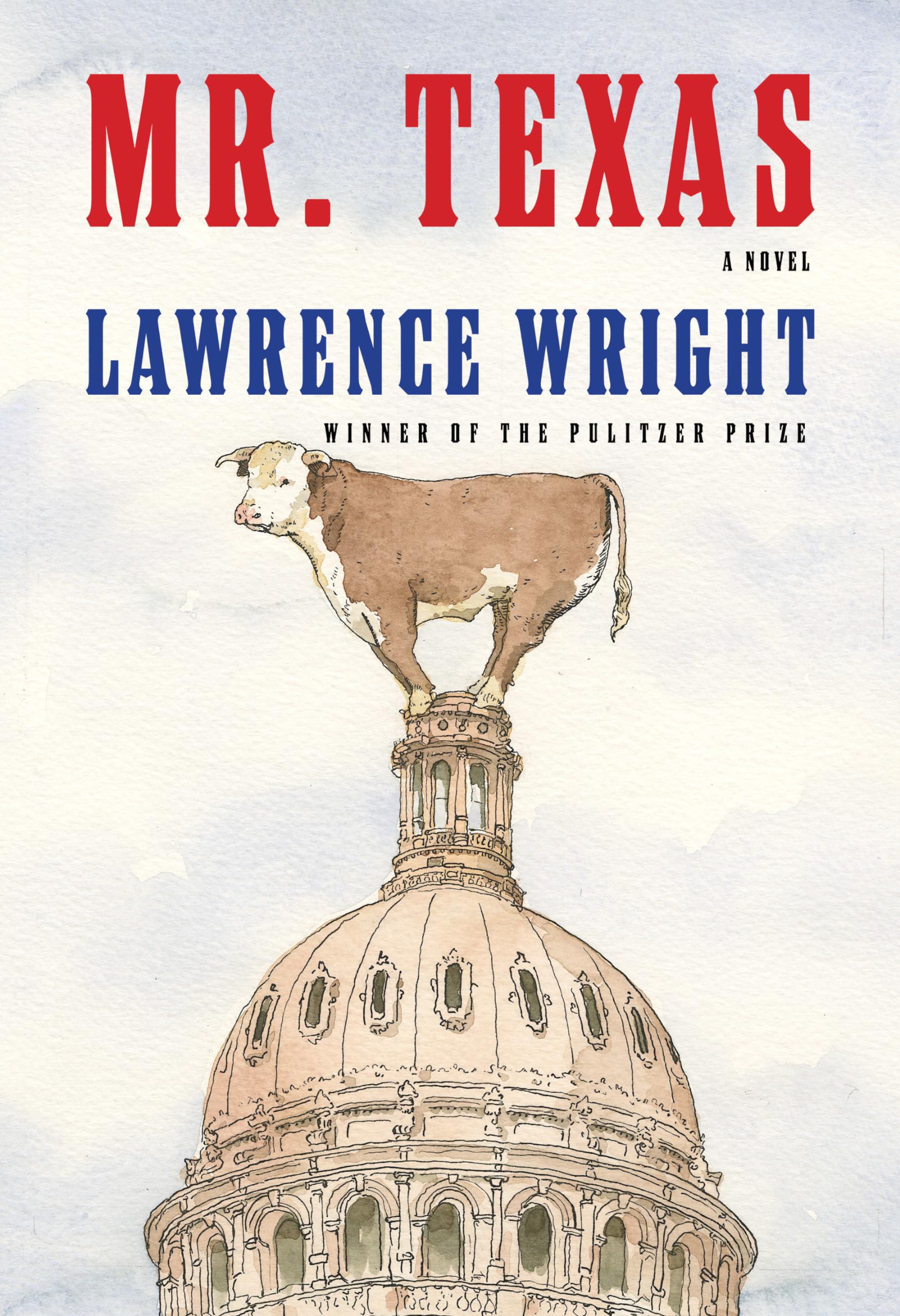 Mr. Texas: A Novel,Used
