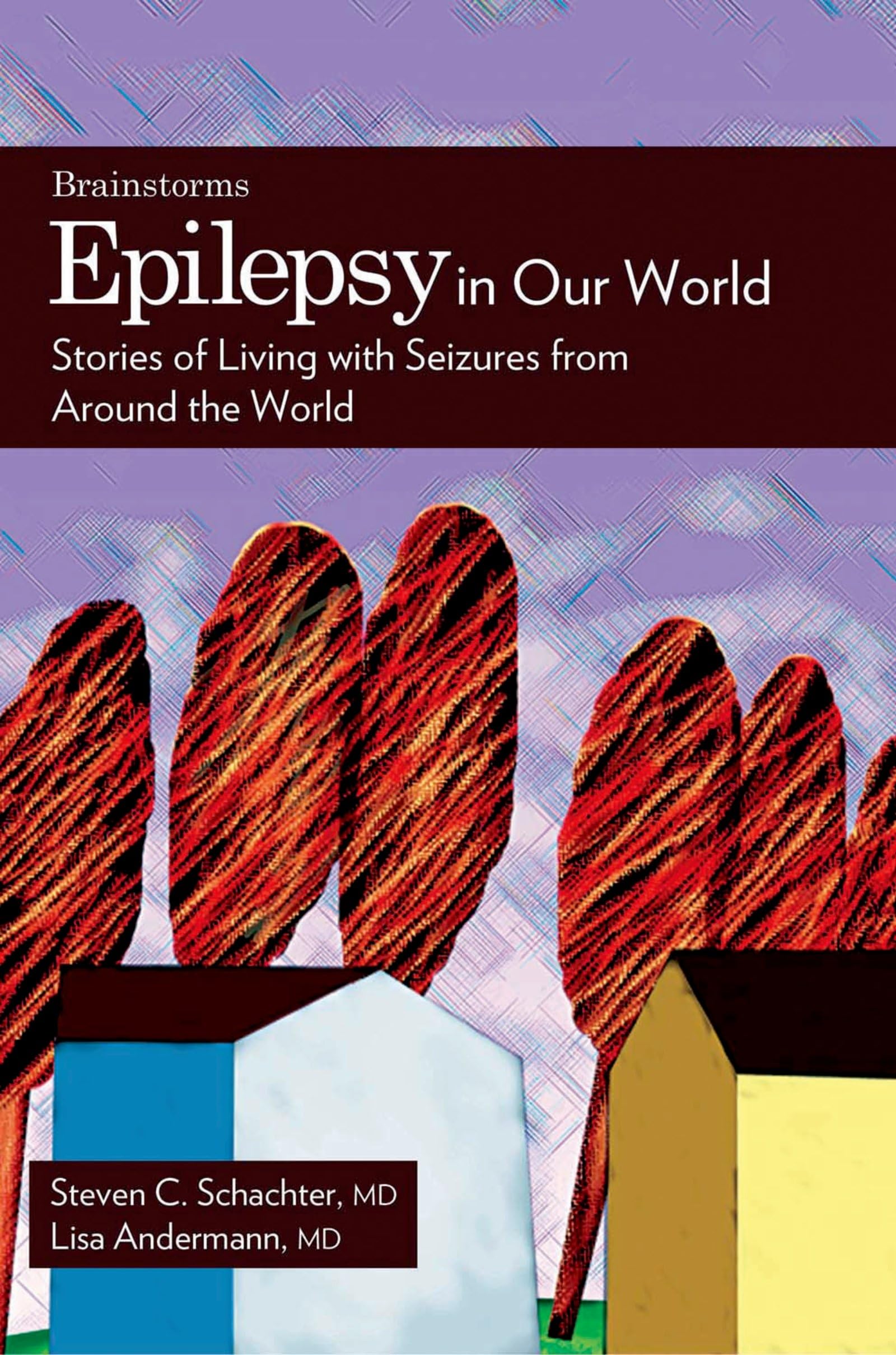 Epilepsy in Our World: Stories of Living with Seizures from Around the World (The Brainstorm Series),Used