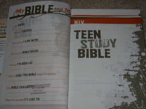 An Introductory Guide to Narcotics Anonymous,Used