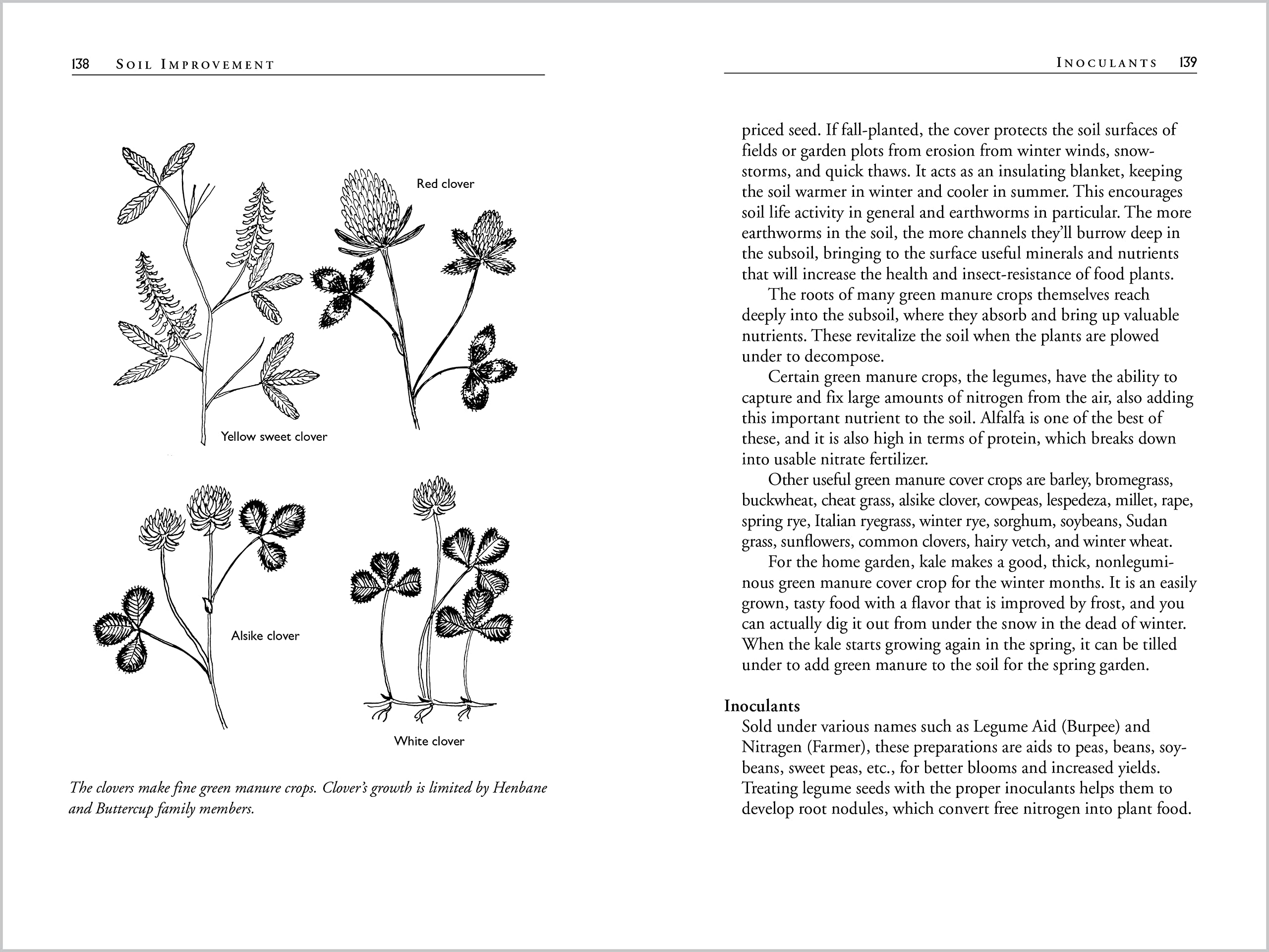 Carrots Love Tomatoes: Secrets of Companion Planting for Successful Gardening,New