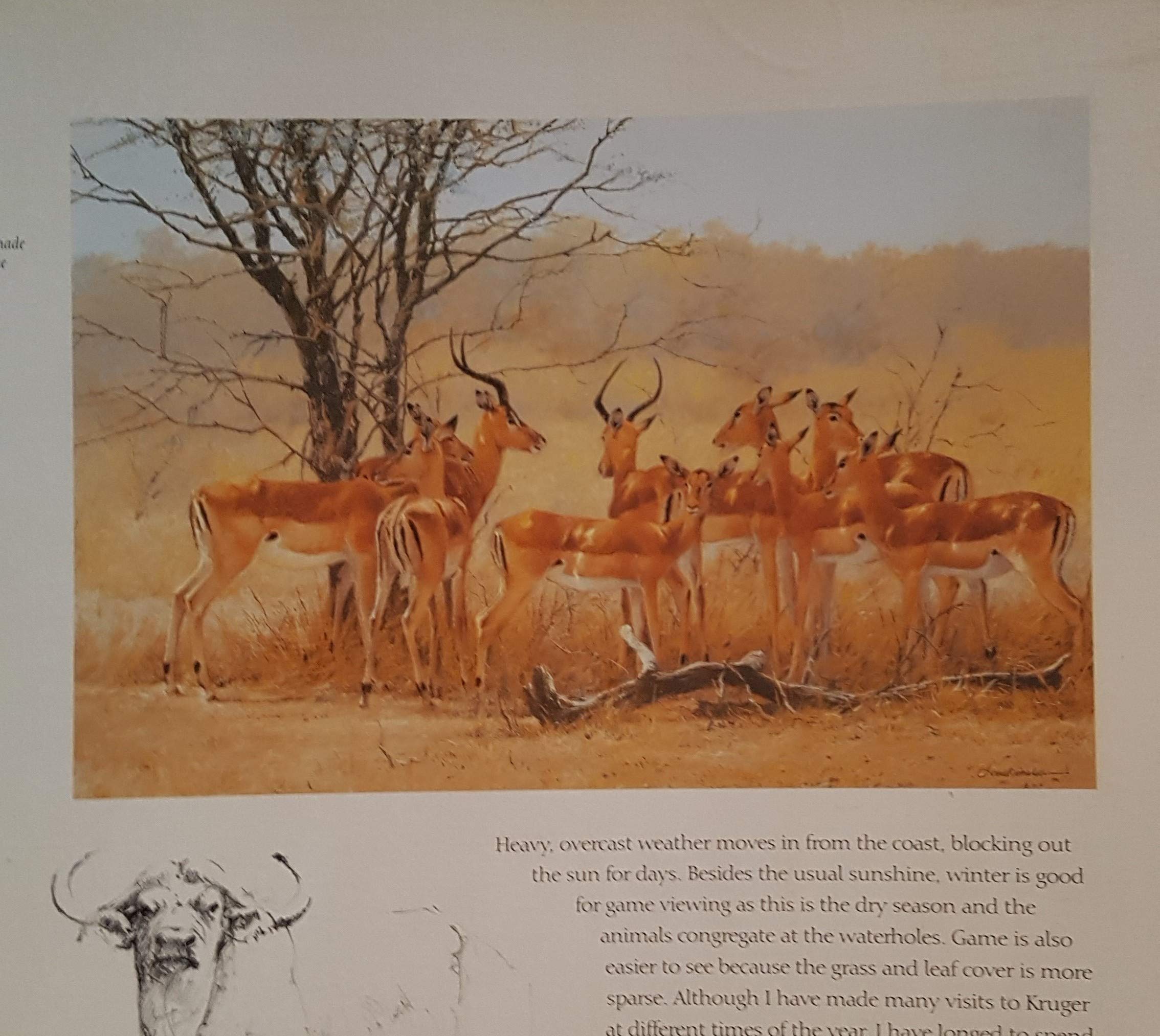Africa: An Artist'S Journal