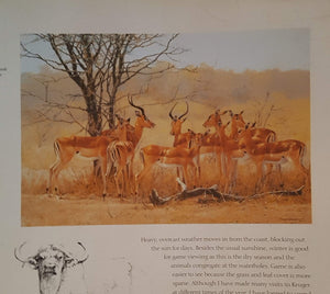Africa: An Artist'S Journal