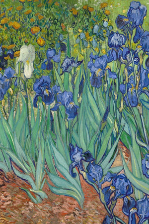 Van Gogh Notebook: Internet Password Jotter  Discreet Password Book with Tabs  Disguised Password Organizer Logbook with Alpha,Used