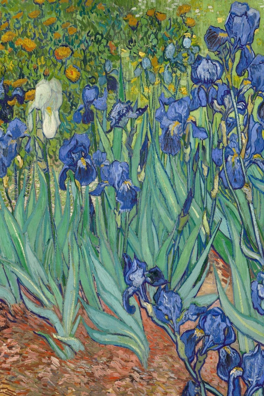 Van Gogh Notebook: Internet Password Jotter  Discreet Password Book with Tabs  Disguised Password Organizer Logbook with Alpha,Used