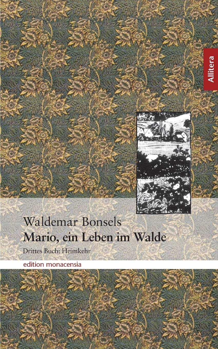 Mario, ein Leben im Walde: Drittes Buch: Heimkehr (German Edition),Used