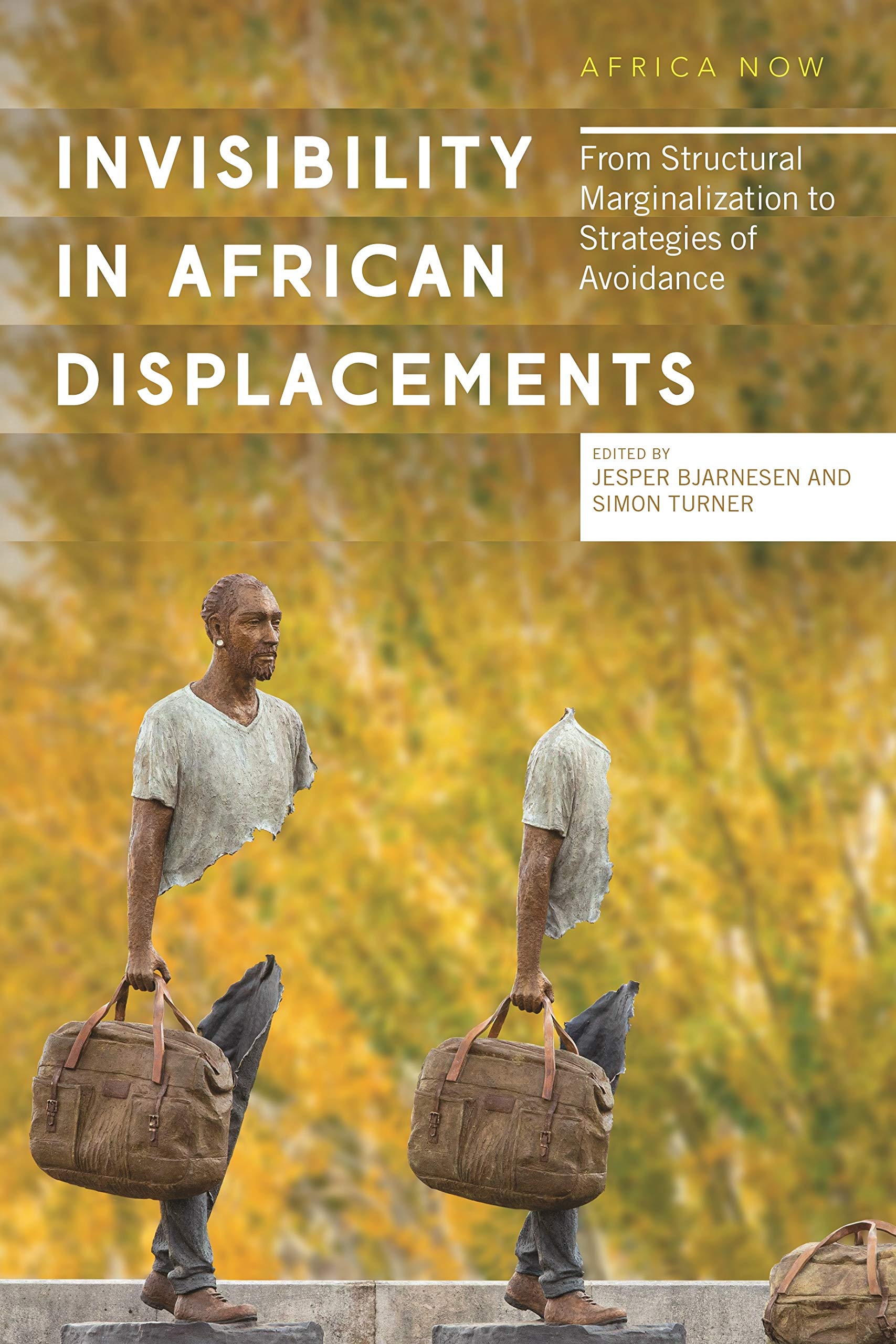 Invisibility in African Displacements: From Structural Marginalization to Strategies of Avoidance (Africa Now),Used
