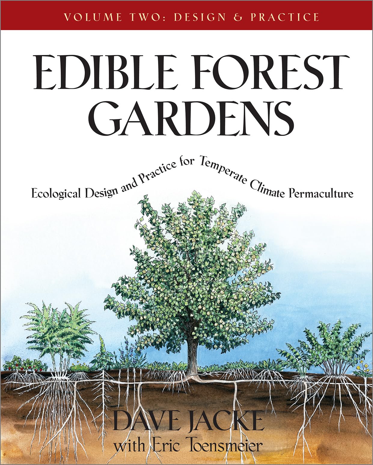 Edible Forest Gardens, Vol. 2: Ecological Design And Practice For TemperateClimate Permaculture,Used