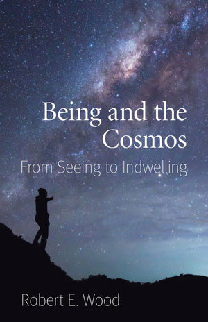 Being And The Cosmos: From Seeing To Indwelling,Used