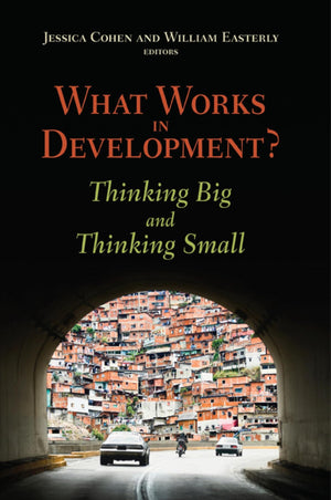 What Works in Development?: Thinking Big and Thinking Small,Used
