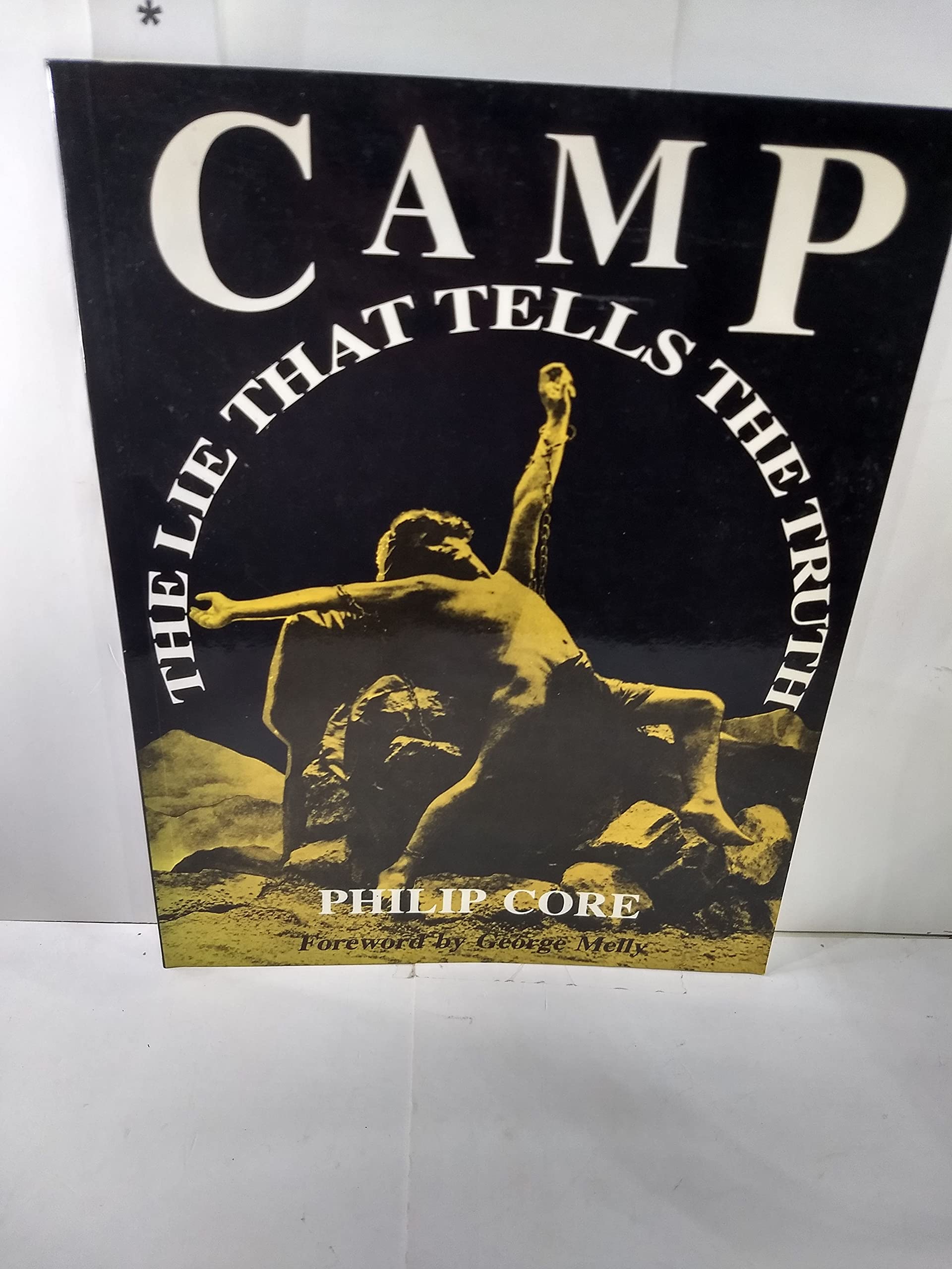 Camp: The Lie That Tells the Truth,Used