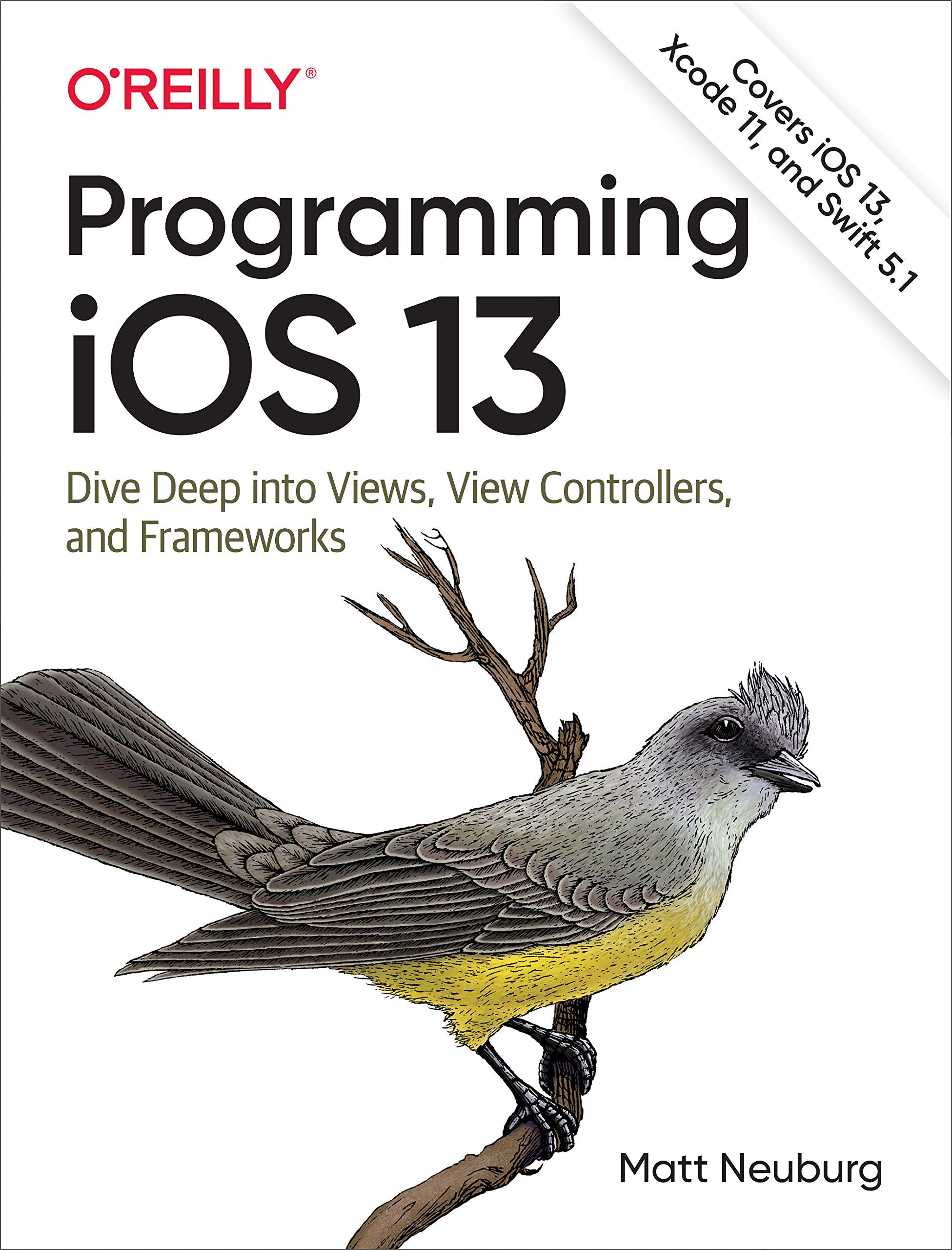 Programming iOS 13: Dive Deep into Views, View Controllers, and Frameworks,Used