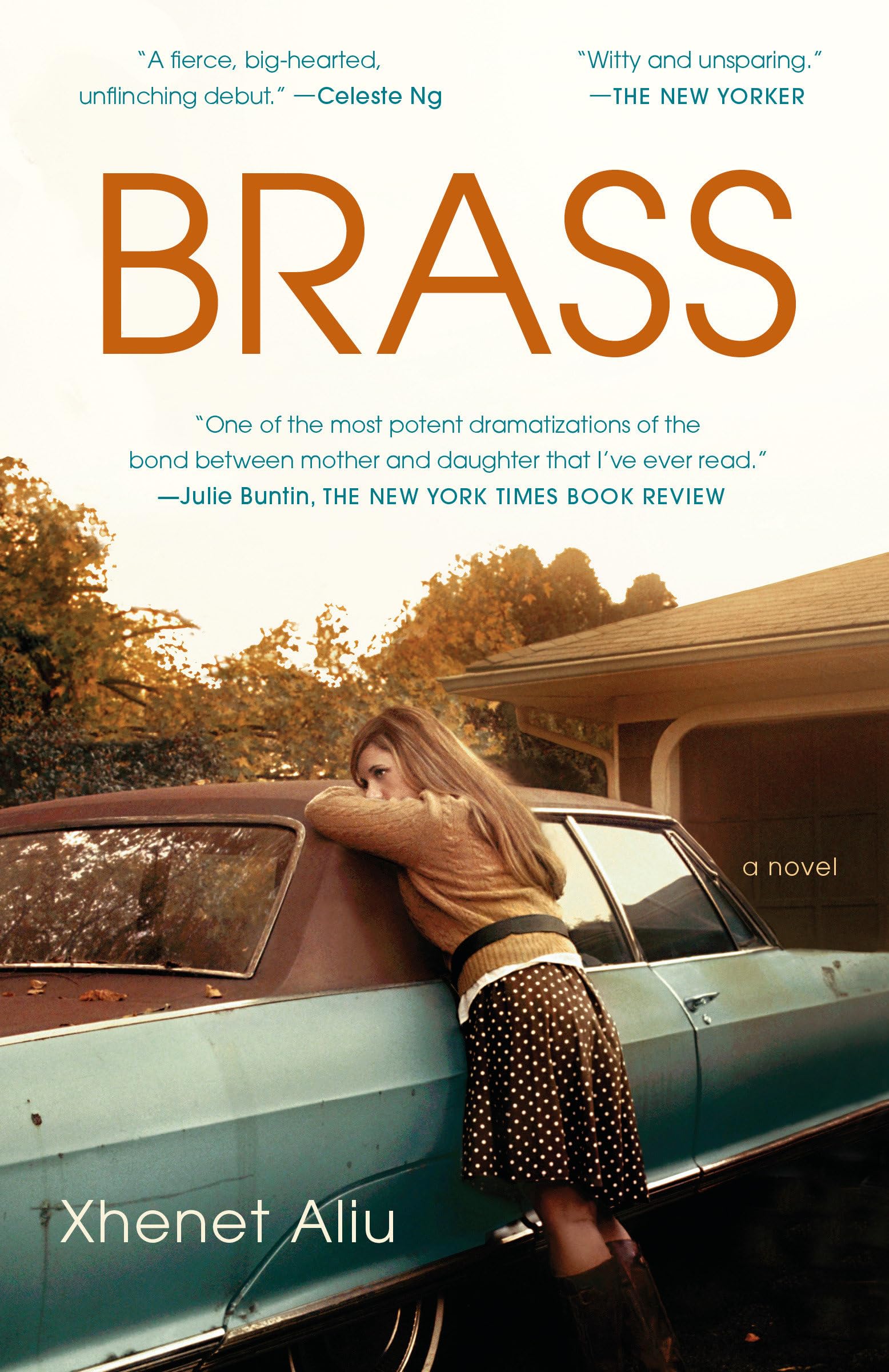 Brass: A Novel,Used