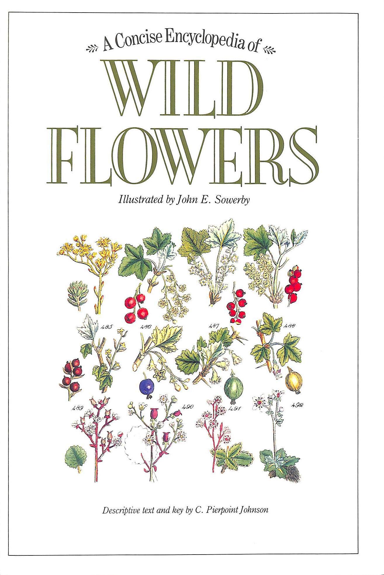 A Concise Encyclopedia of Wild Flowers,Used