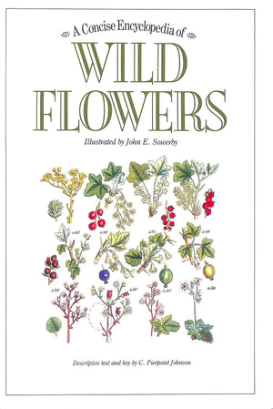 A Concise Encyclopedia of Wild Flowers,Used