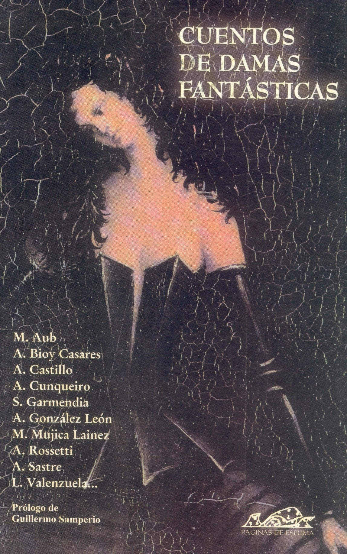 Cuentos de damas fantsticas (Narrativa Breve) (Spanish Edition),Used