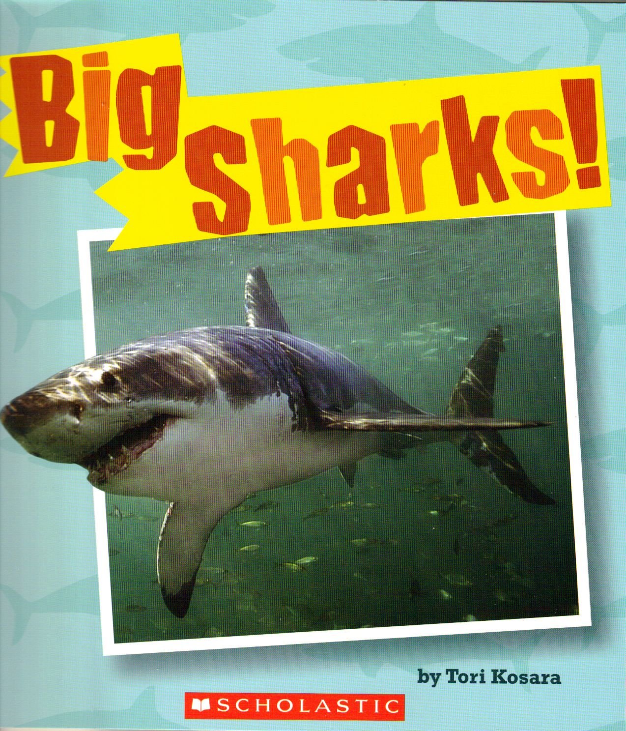 Big Sharks!,Used