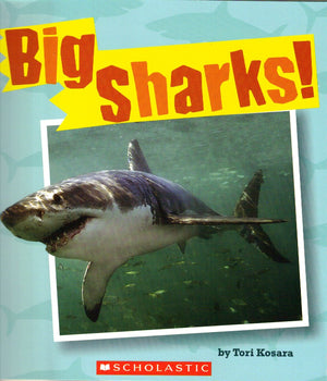 Big Sharks!,Used