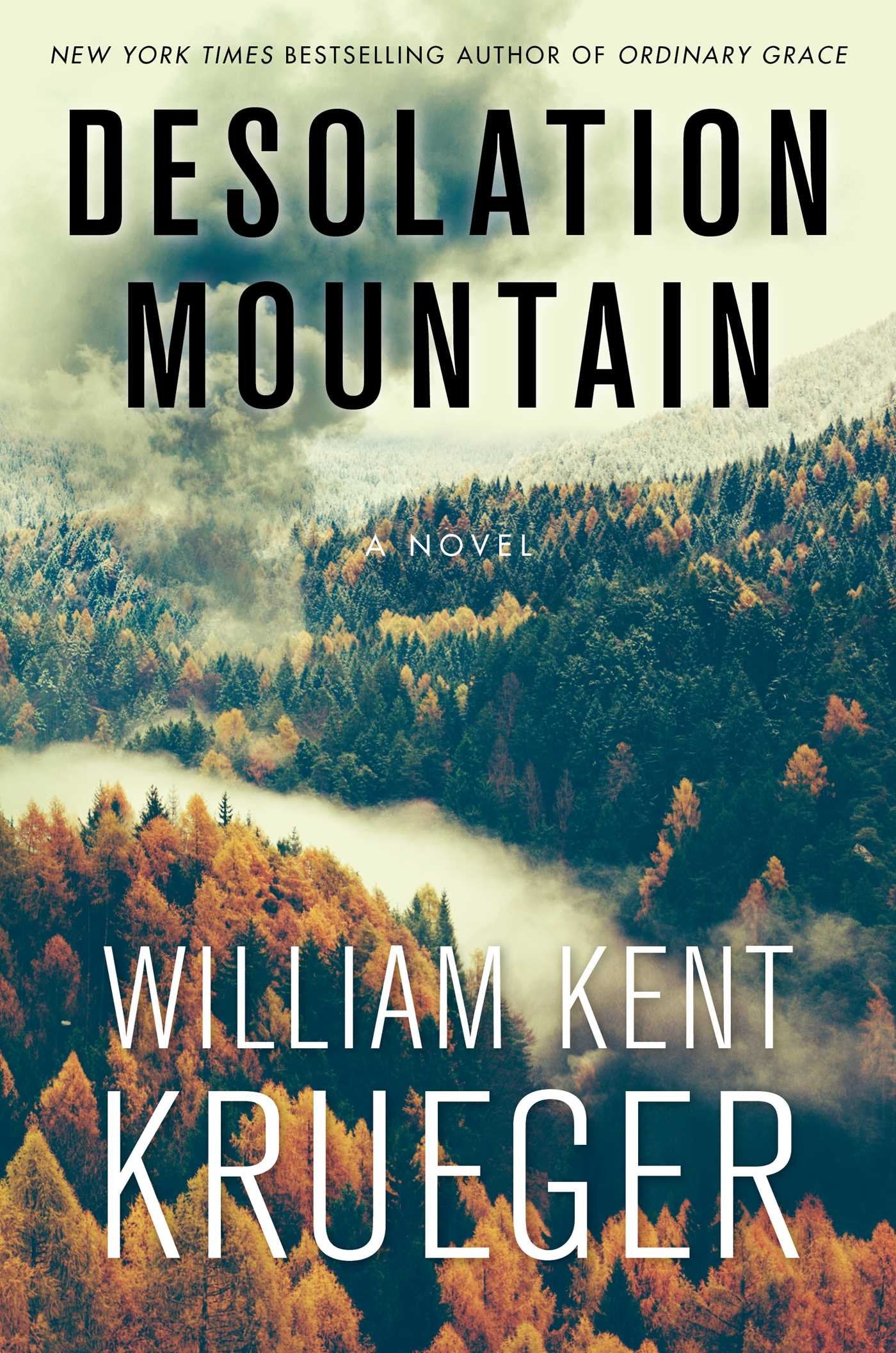 Desolation Mountain: A Novel (17) (Cork O'Connor Mystery Series),Used