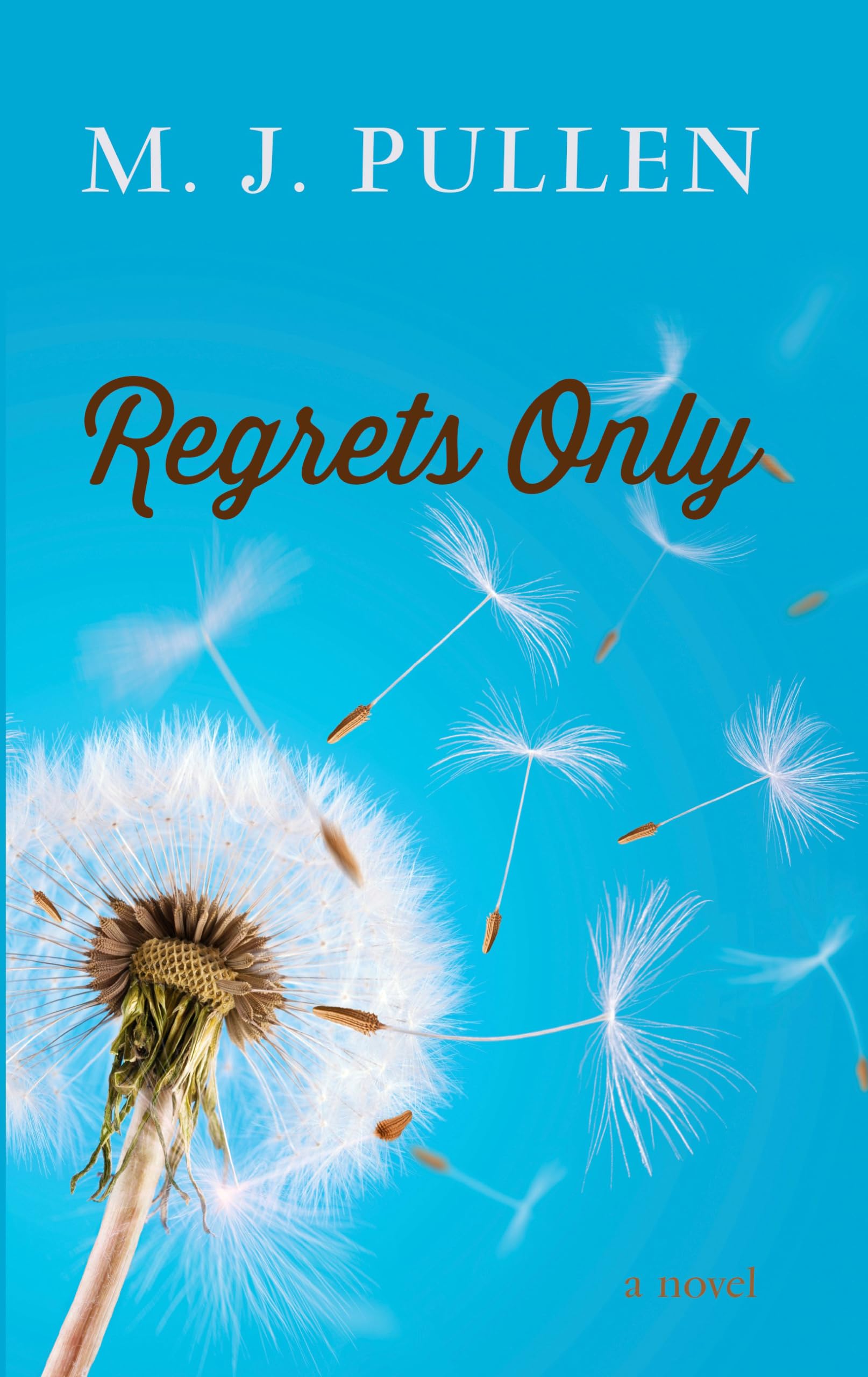 Regrets Only (Thorndike Womens Fiction),Used
