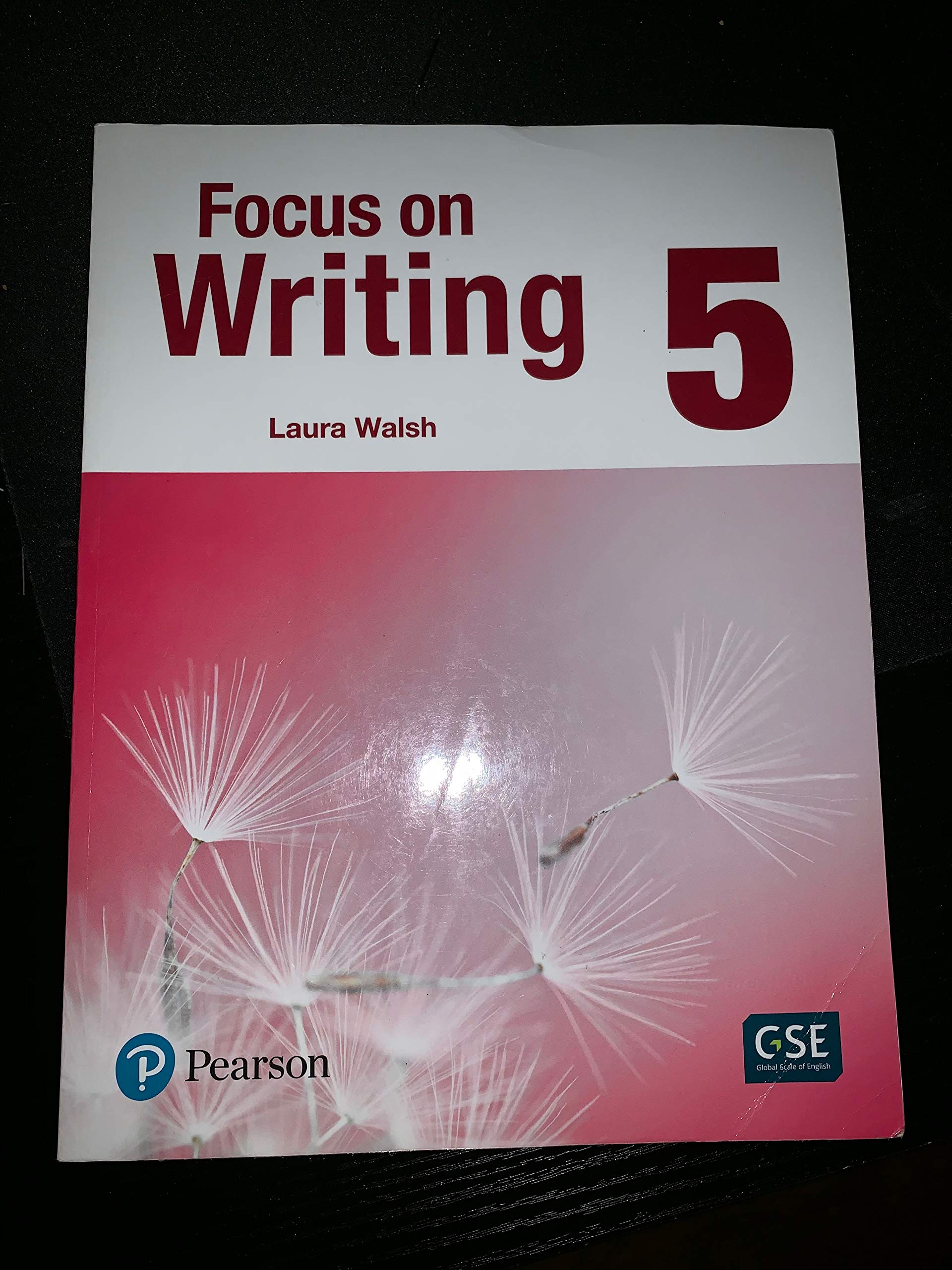 Focus on Writing 5,Used