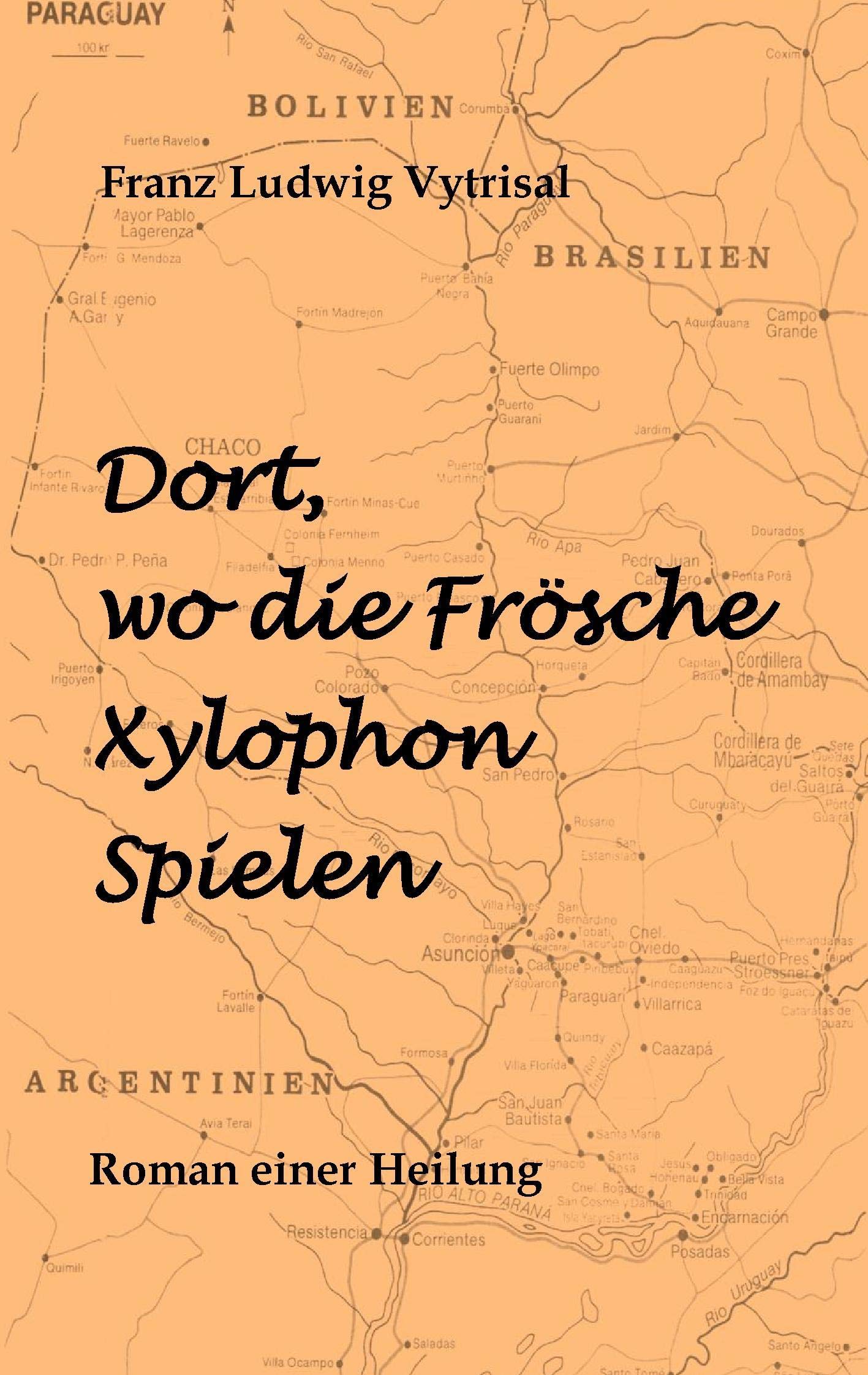 Dort, wo die Frsche Xylophon spielen: Roman einer Heilung (German Edition),Used
