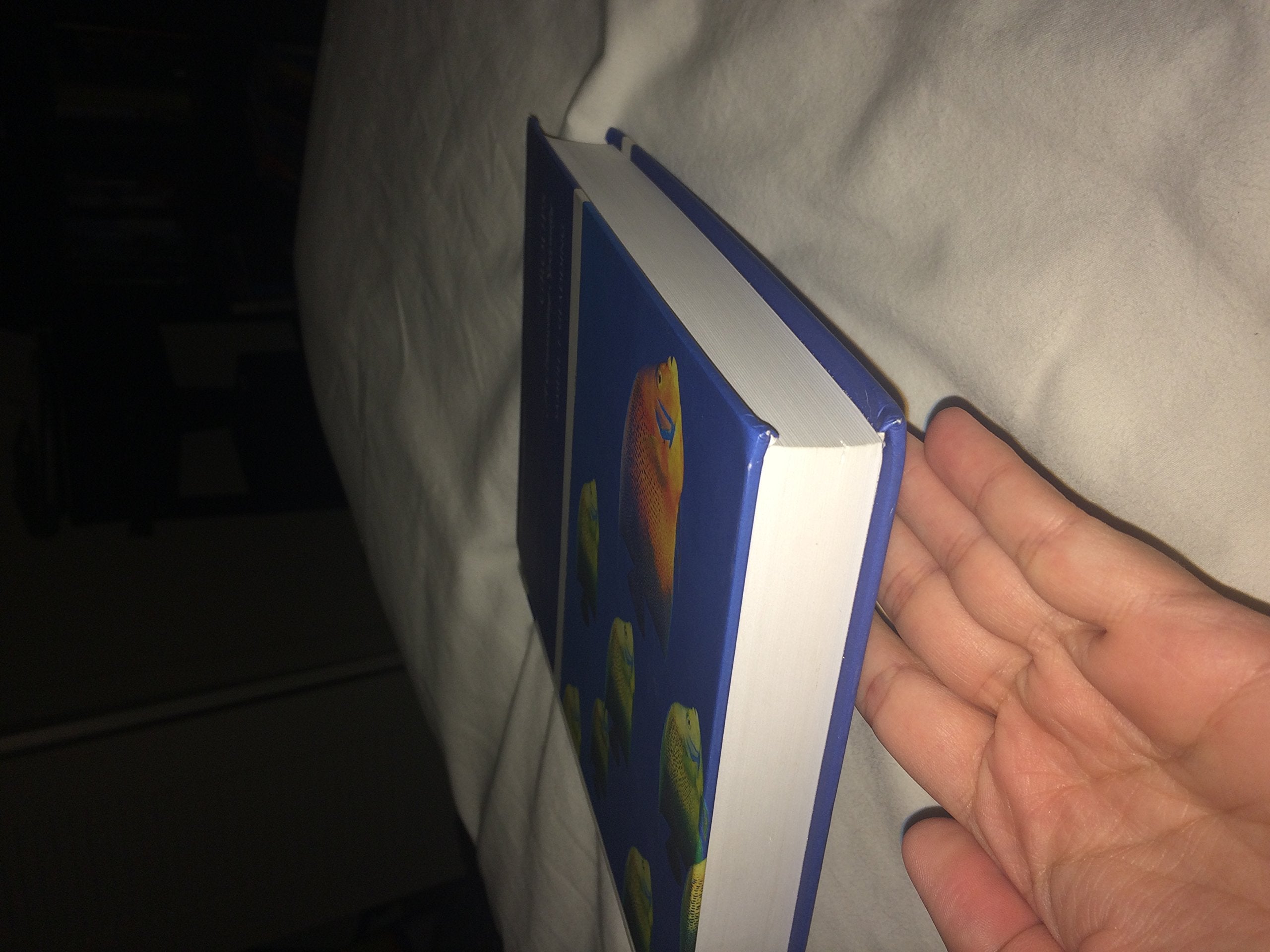 Groups: A Counseling Specialty (6th Edition) (Merrill Counseling (Hardcover)),Used