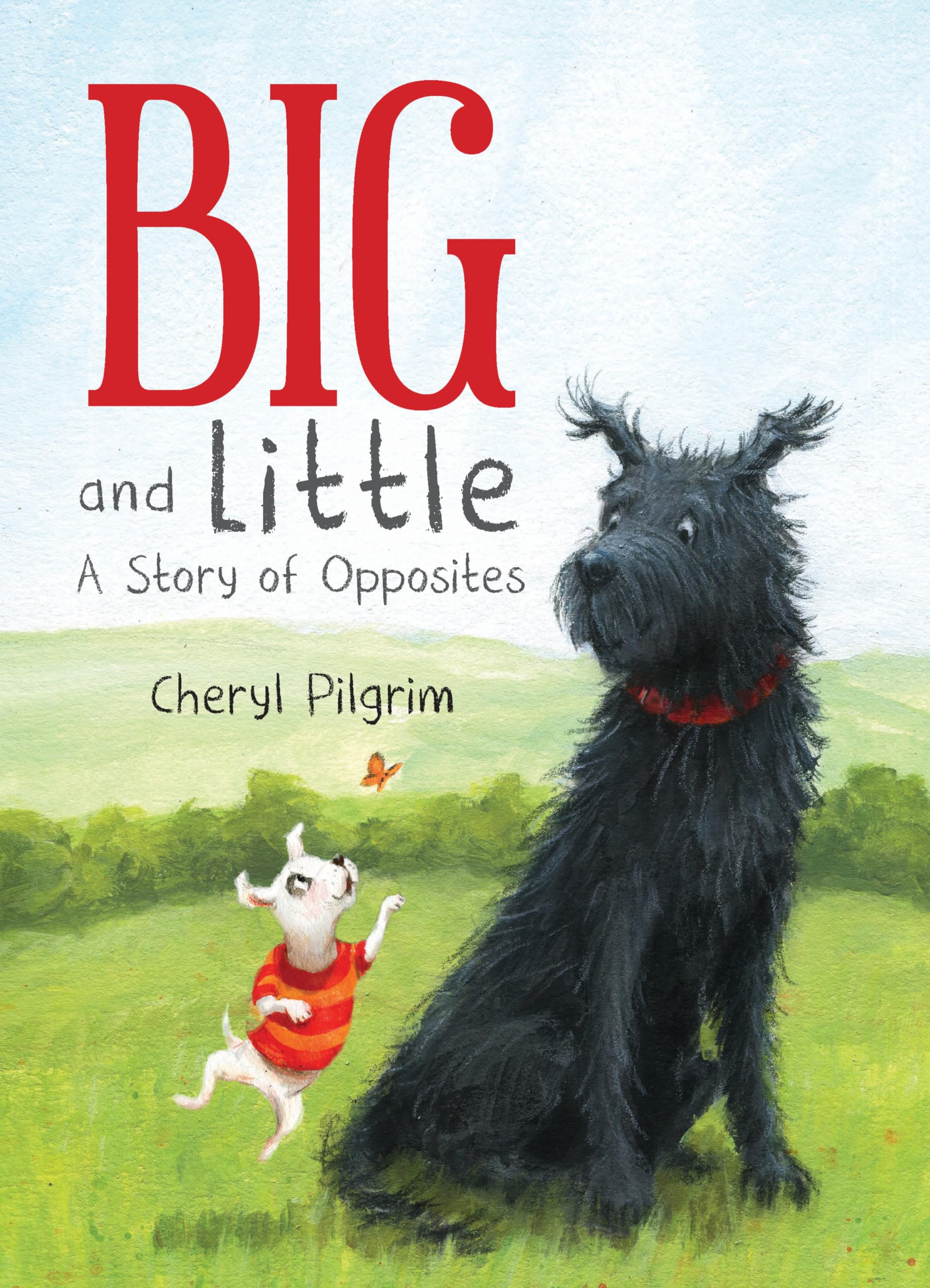 Big and Little: A Story of Opposites,Used