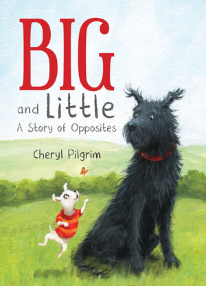 Big and Little: A Story of Opposites,Used