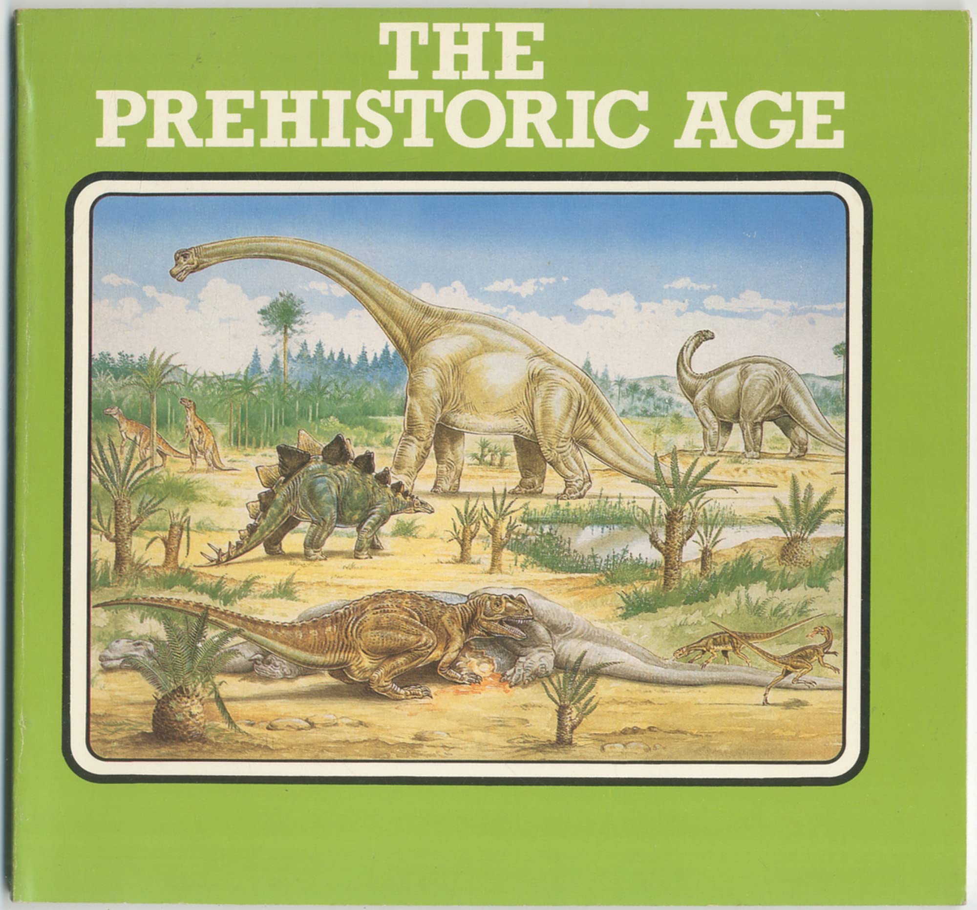 The Prehistoric Age,Used