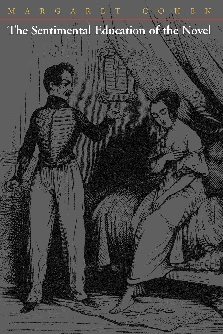 The Sentimental Education Of The Novel,Used