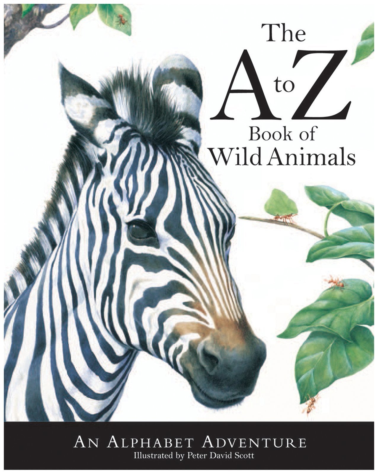 The To Z Book Of Wild Animals: An Alphabet Adventure
