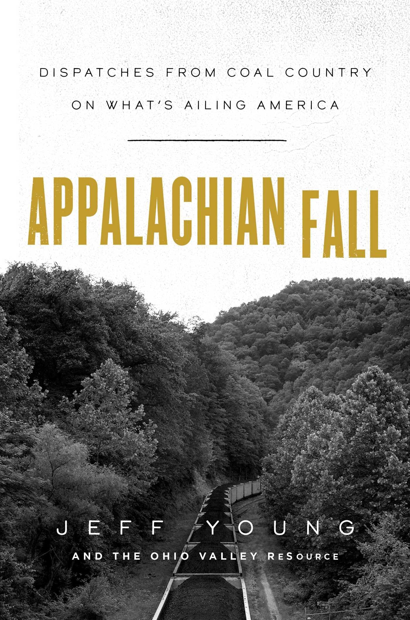 Appalachian Fall: Dispatches from Coal Country on What's Ailing America,Used