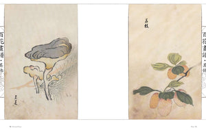 Oriental Flowers: Chinese Brush Paintings,Used