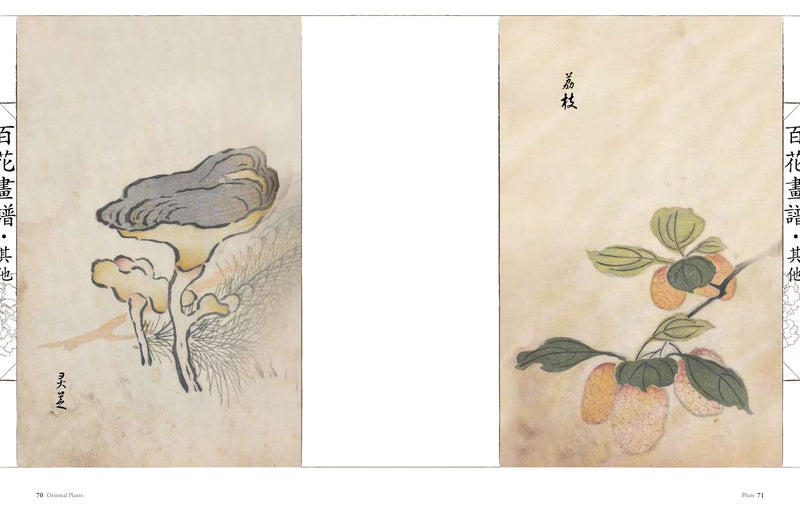 Oriental Flowers: Chinese Brush Paintings,Used