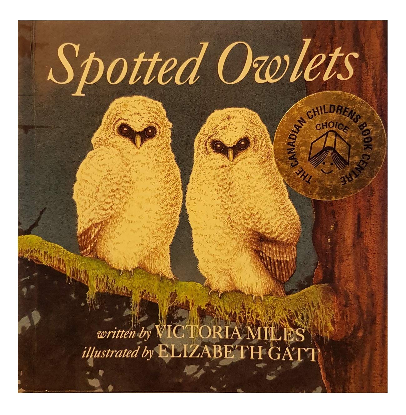 Spotted Owlets