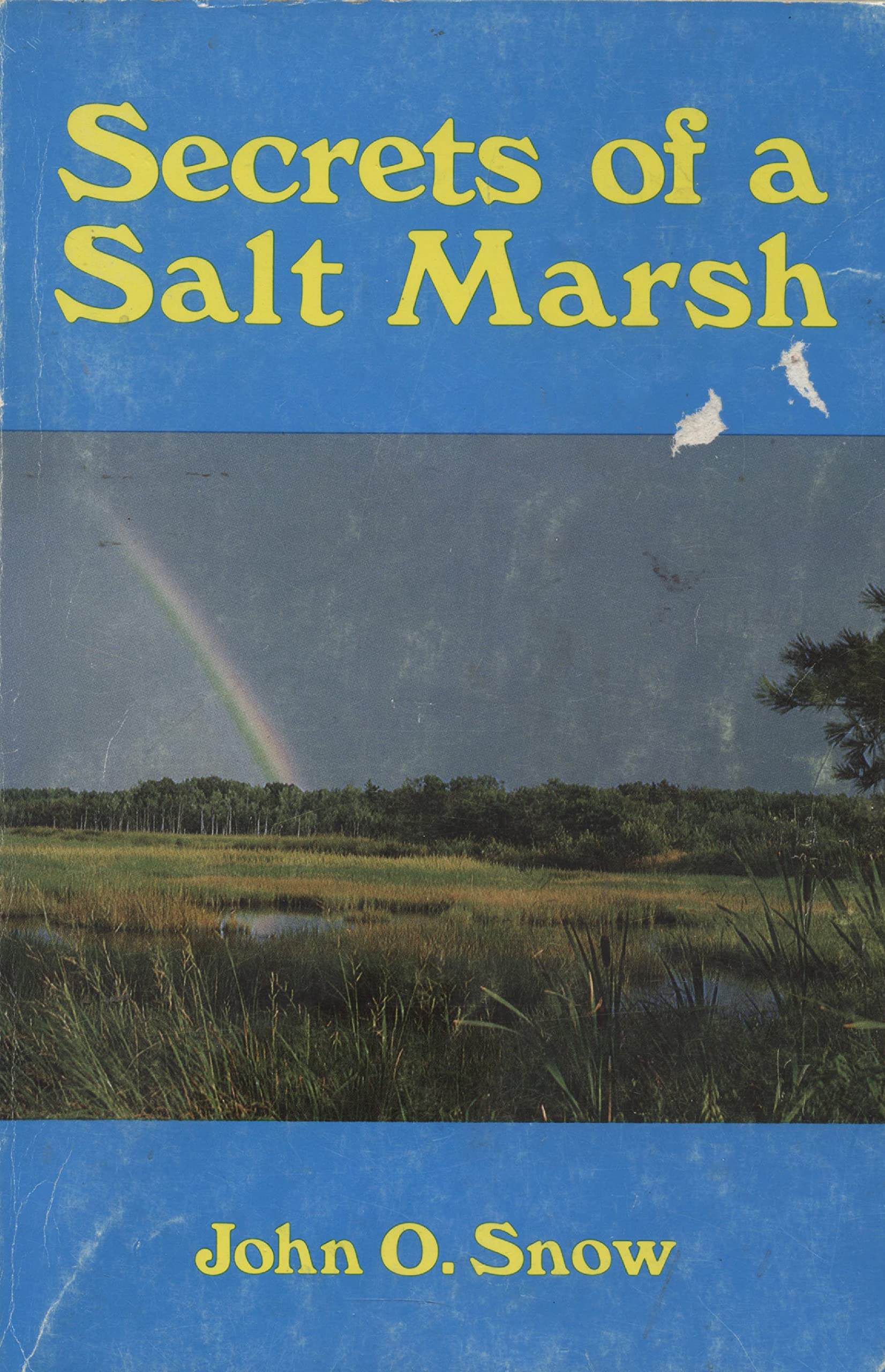 Secrets of a Salt Marsh