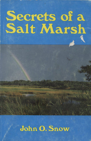 Secrets of a Salt Marsh