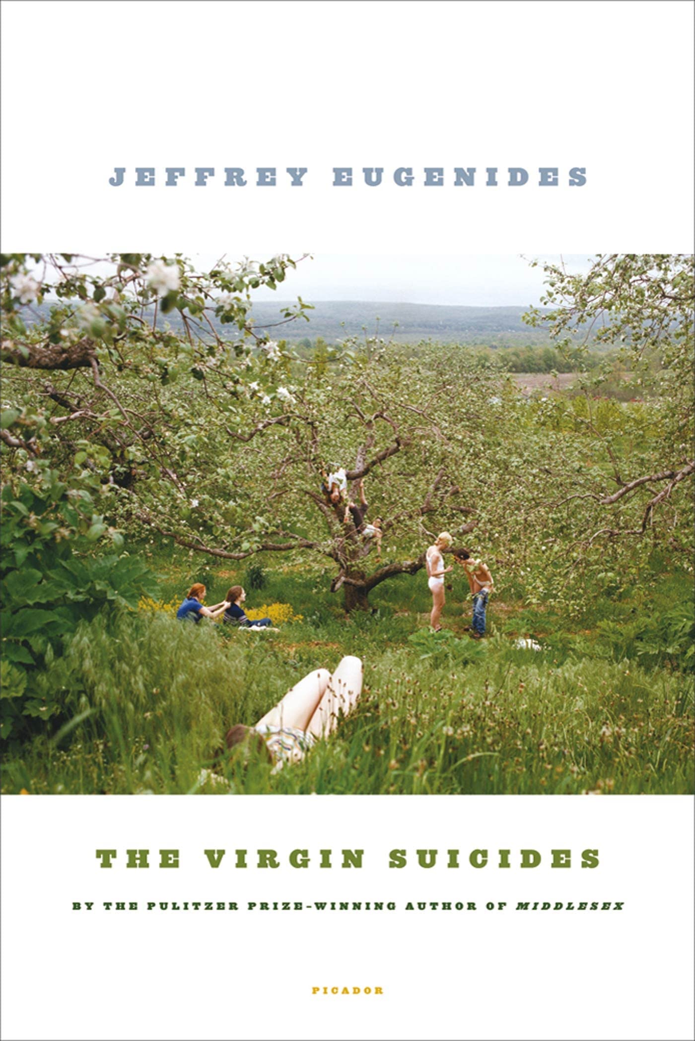 The Virgin Suicides: A Novel (Picador Modern Classics),Used
