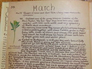The Country Diary of an Edwardian Lady,New