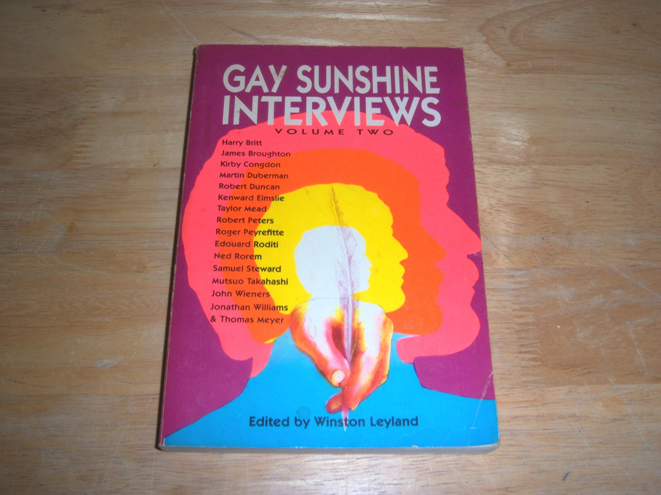 Gay Sunshine Interviews Volume Two