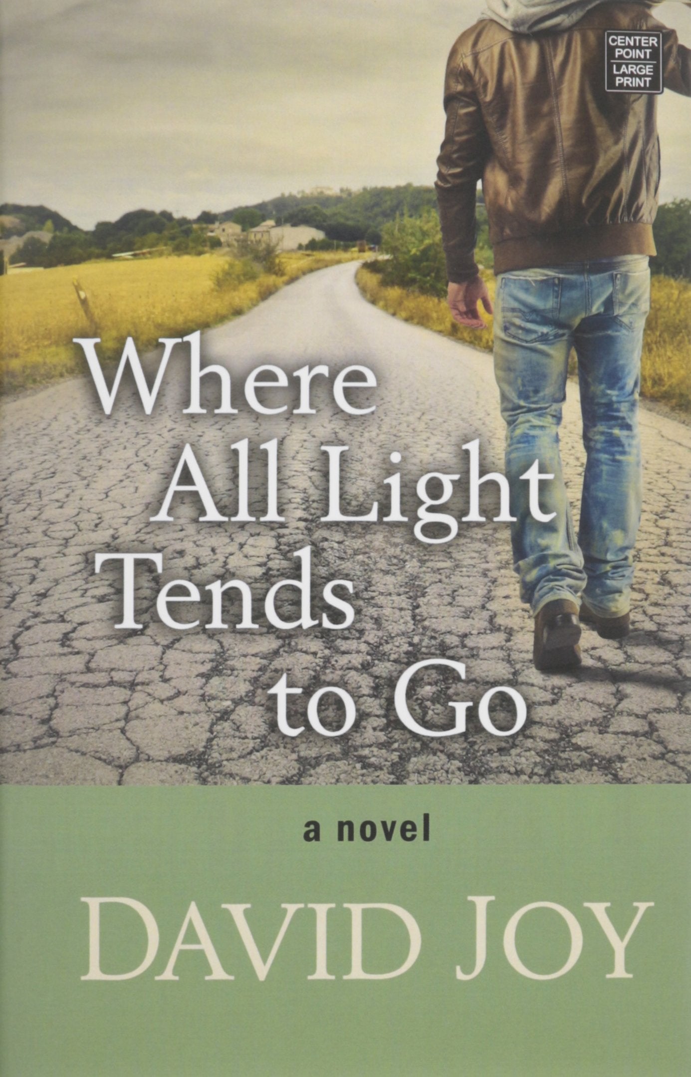 Where All Light Tends to Go,Used