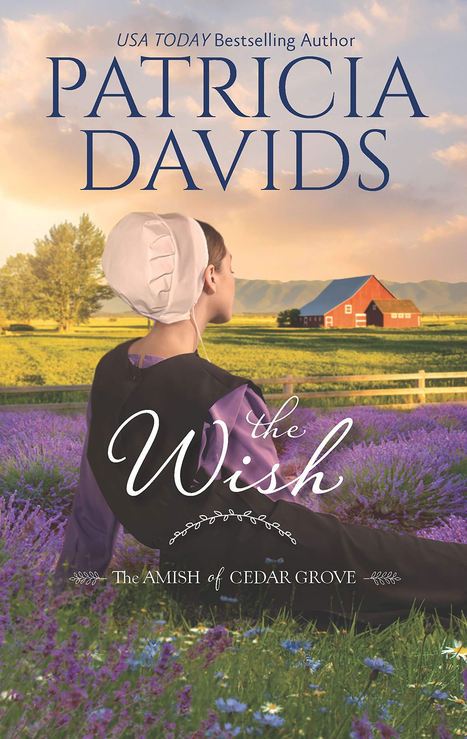 The Wish: A Clean & Wholesome Romance (The Amish of Cedar Grove),Used
