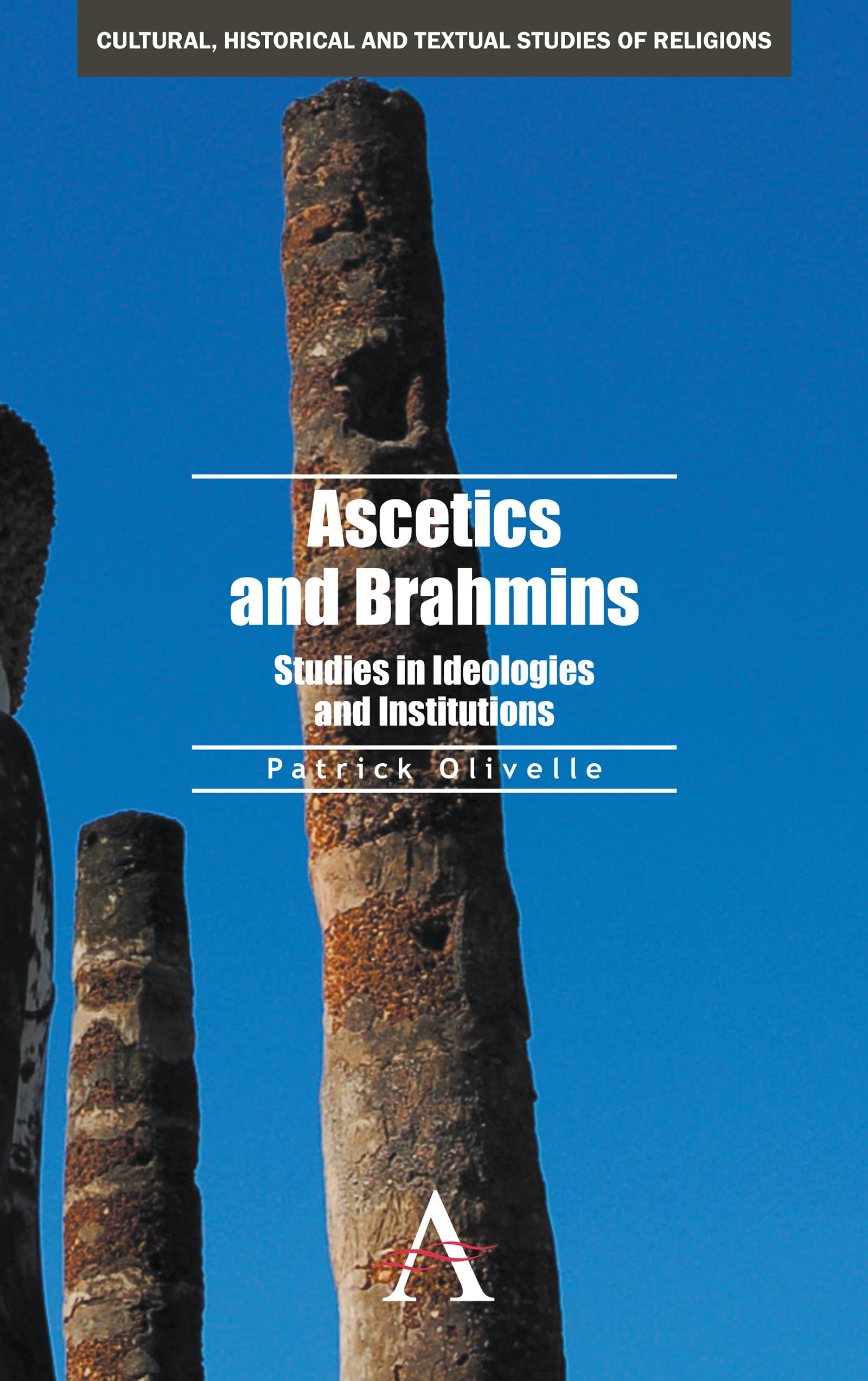 Ascetics and Brahmins: Studies in Ideologies and Institutions (Cultural, Historical and Textual Studies of South Asian Religions,Used