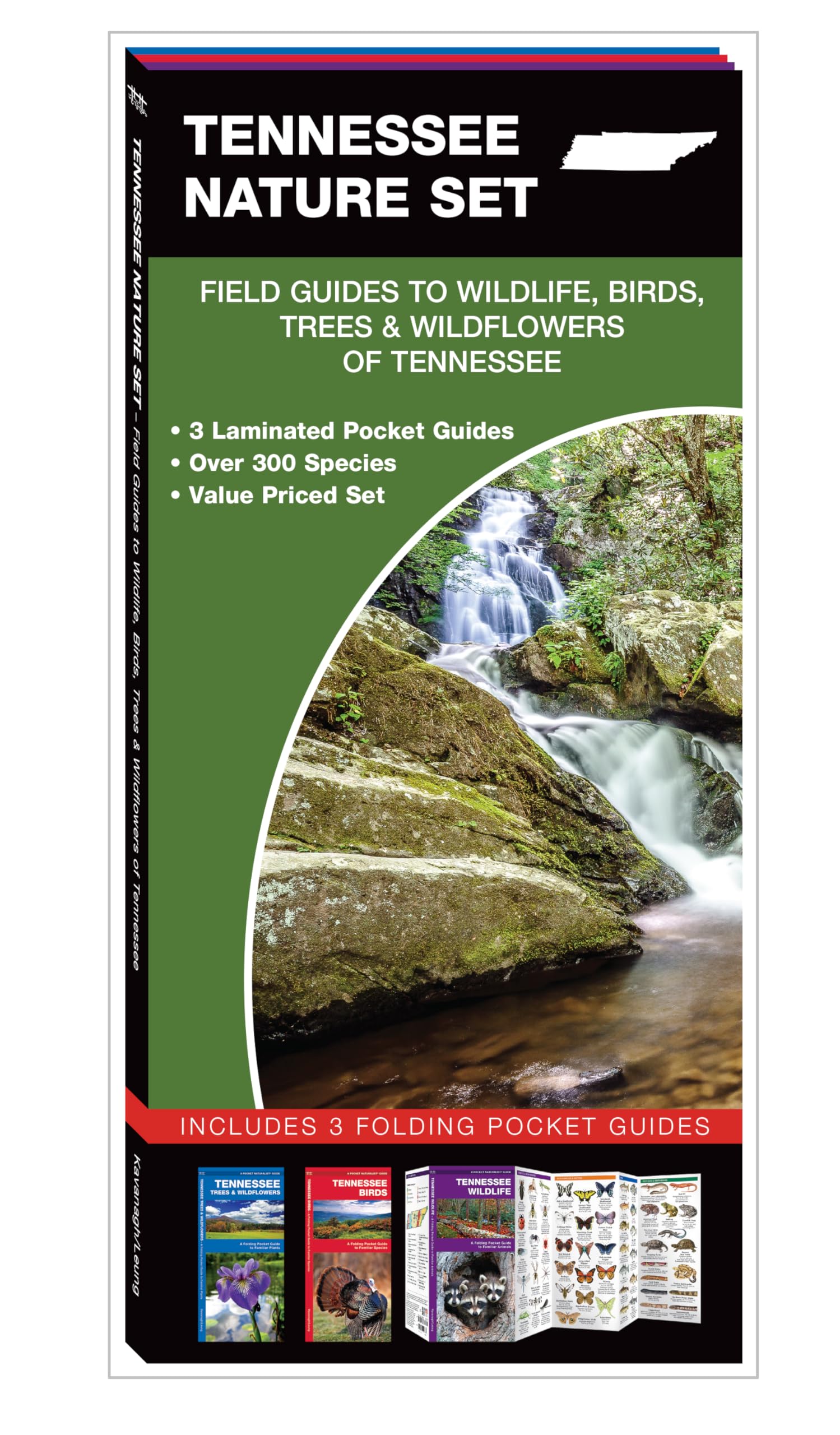 Tennessee Nature Set: Field Guides to Wildlife, Birds, Trees & Wildflowers of Tennessee,New