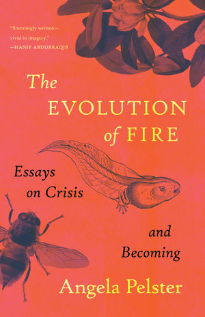 The Evolution Of Fire: Essays On Crisis And Becoming