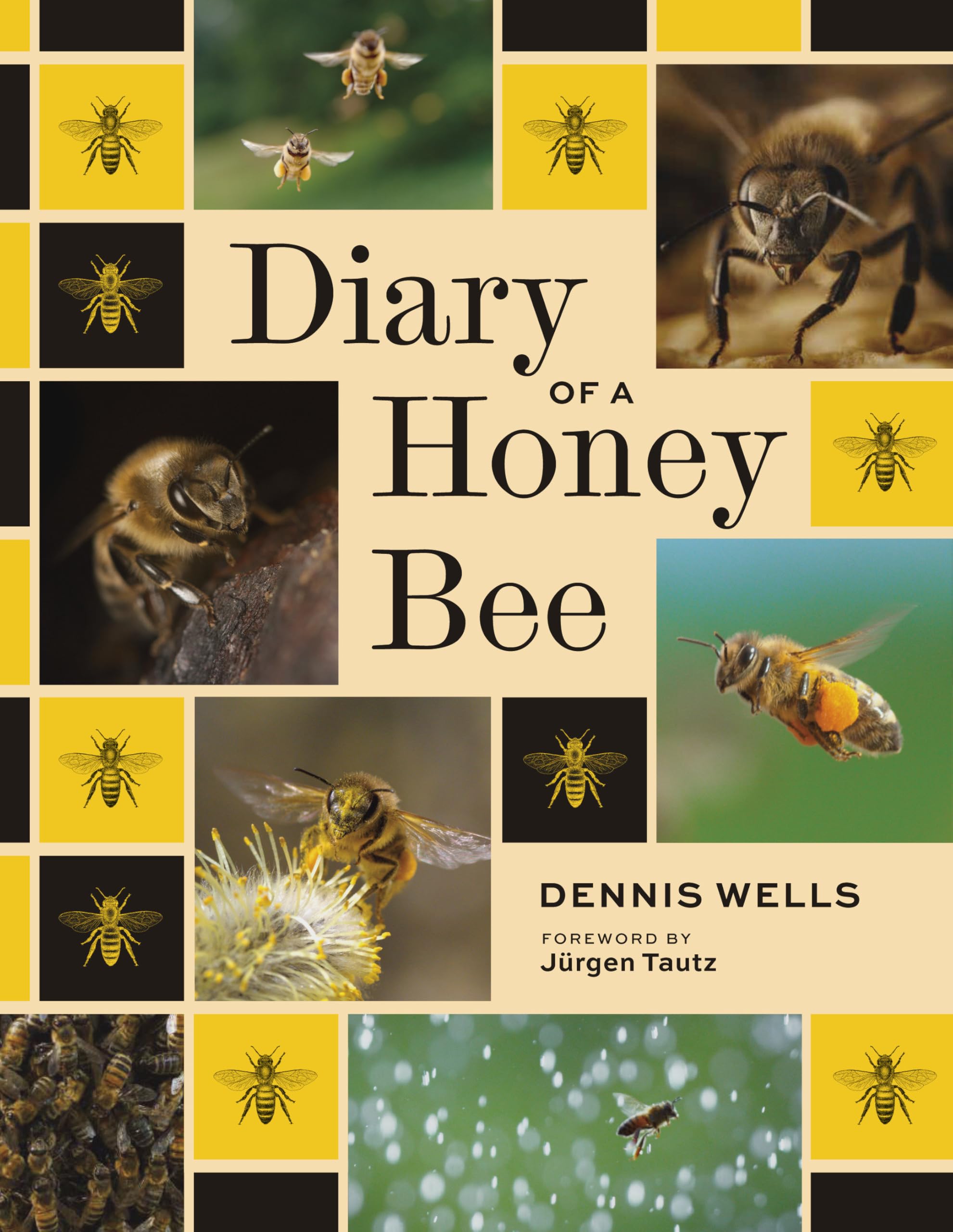 Diary Of A Honey Bee