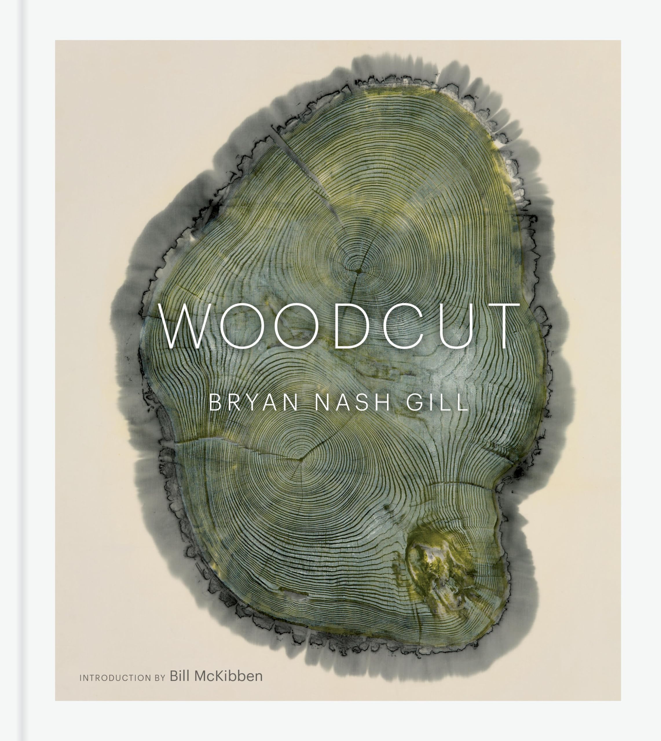Woodcut: (Updated Edition),New