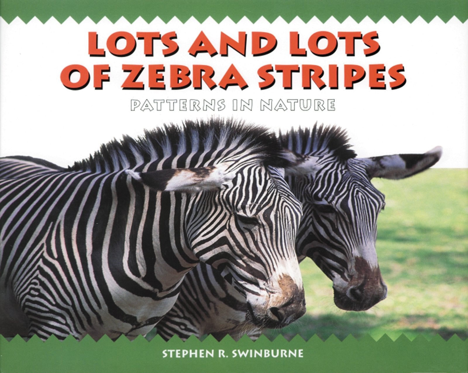 Lots and Lots of Zebra Stripes,Used