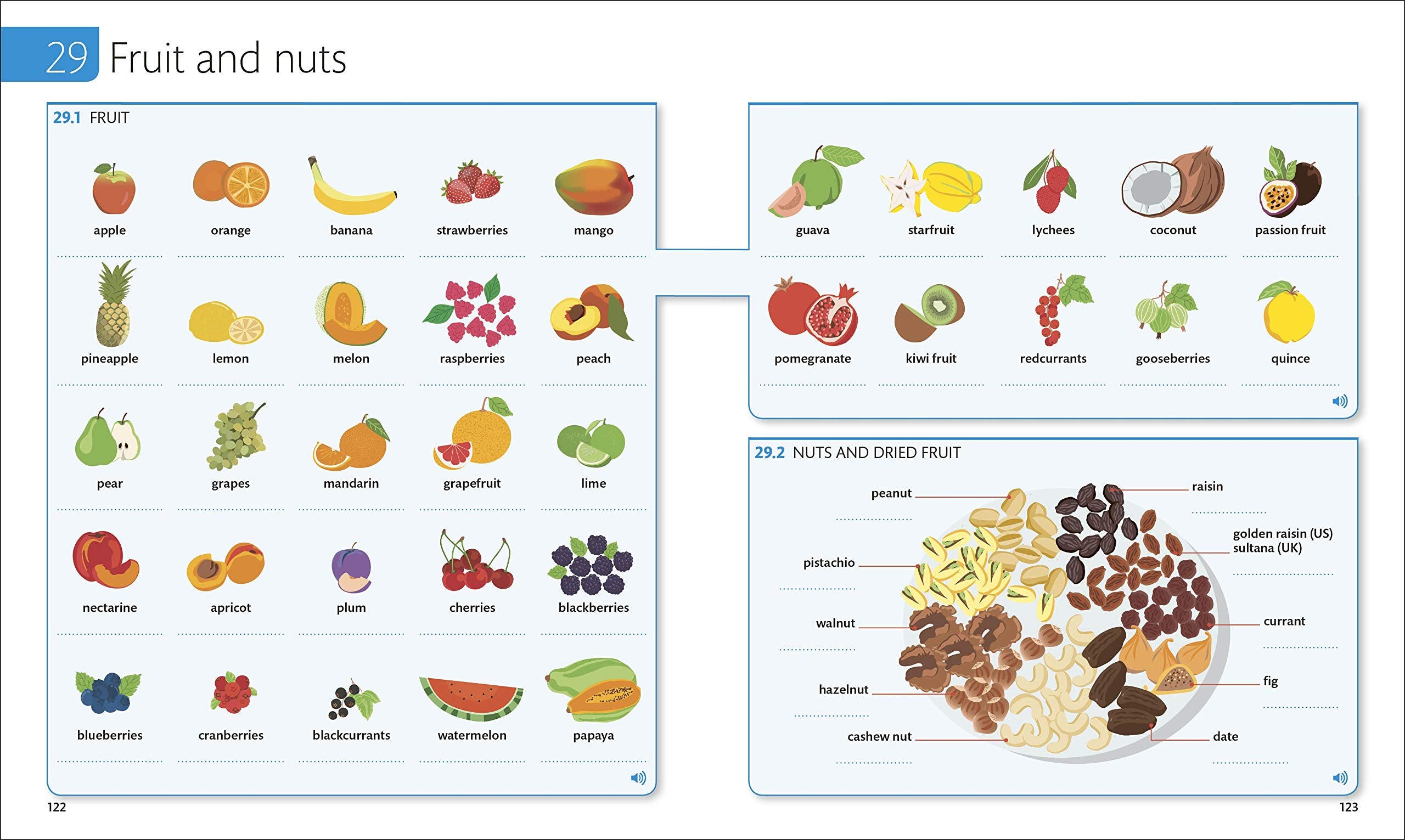 DK English for Everyone: Vocabulary Builder - White Edition